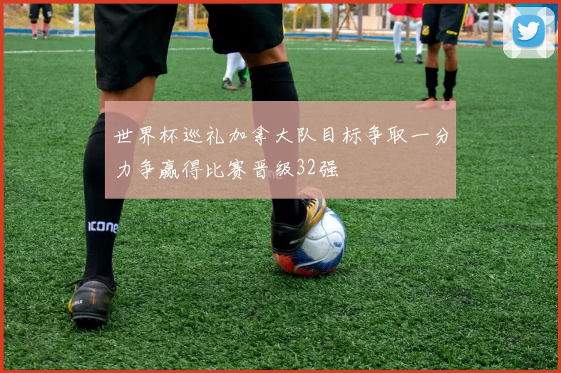 世界杯巡礼加拿大队目标争取一分力争赢得比赛晋级32强